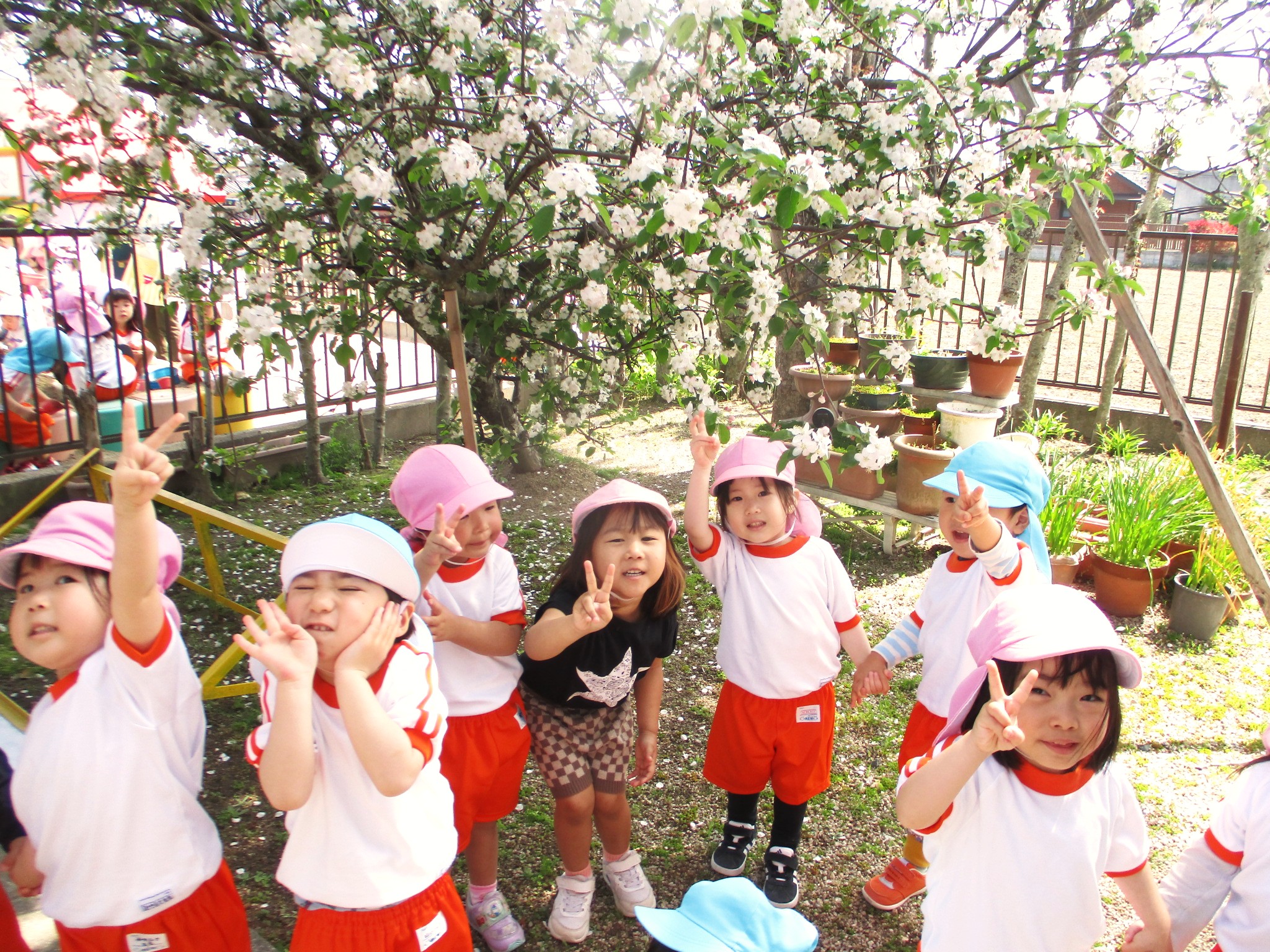 フォトギャラリー